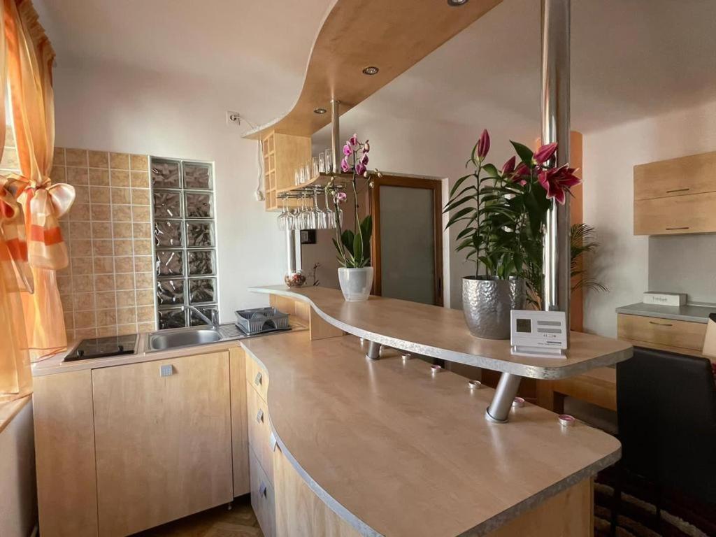 Winterland Sf.Ioan Apartment Брашов Екстериор снимка